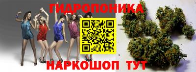 прущие крисы Краснодар